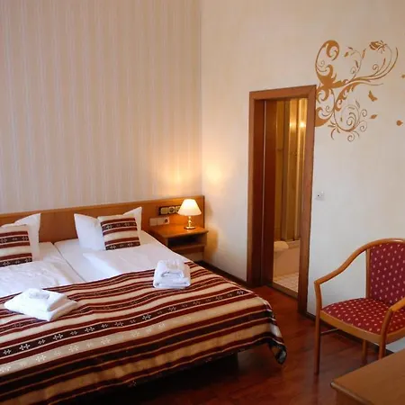 Schwarzer Baer Zittau