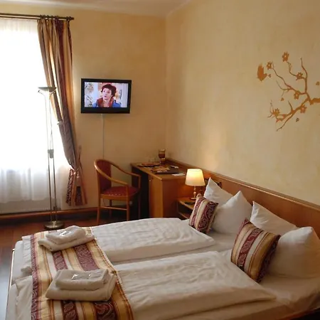 Schwarzer Baer Hotel