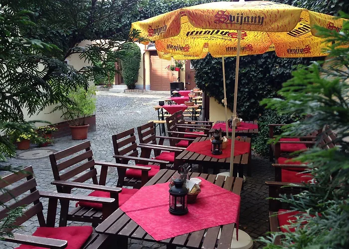 Schwarzer Baer Zittau