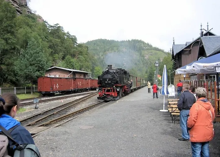 Hotel Schwarzer Baer