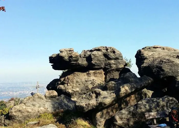 Schwarzer Baer 3* تسيتاو